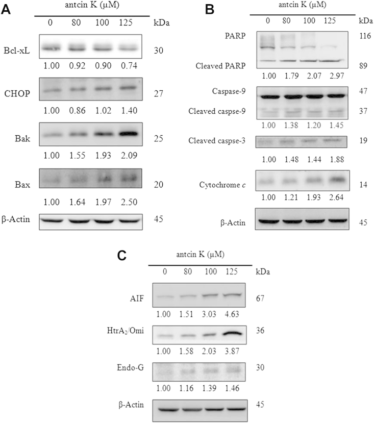 Fig. 4