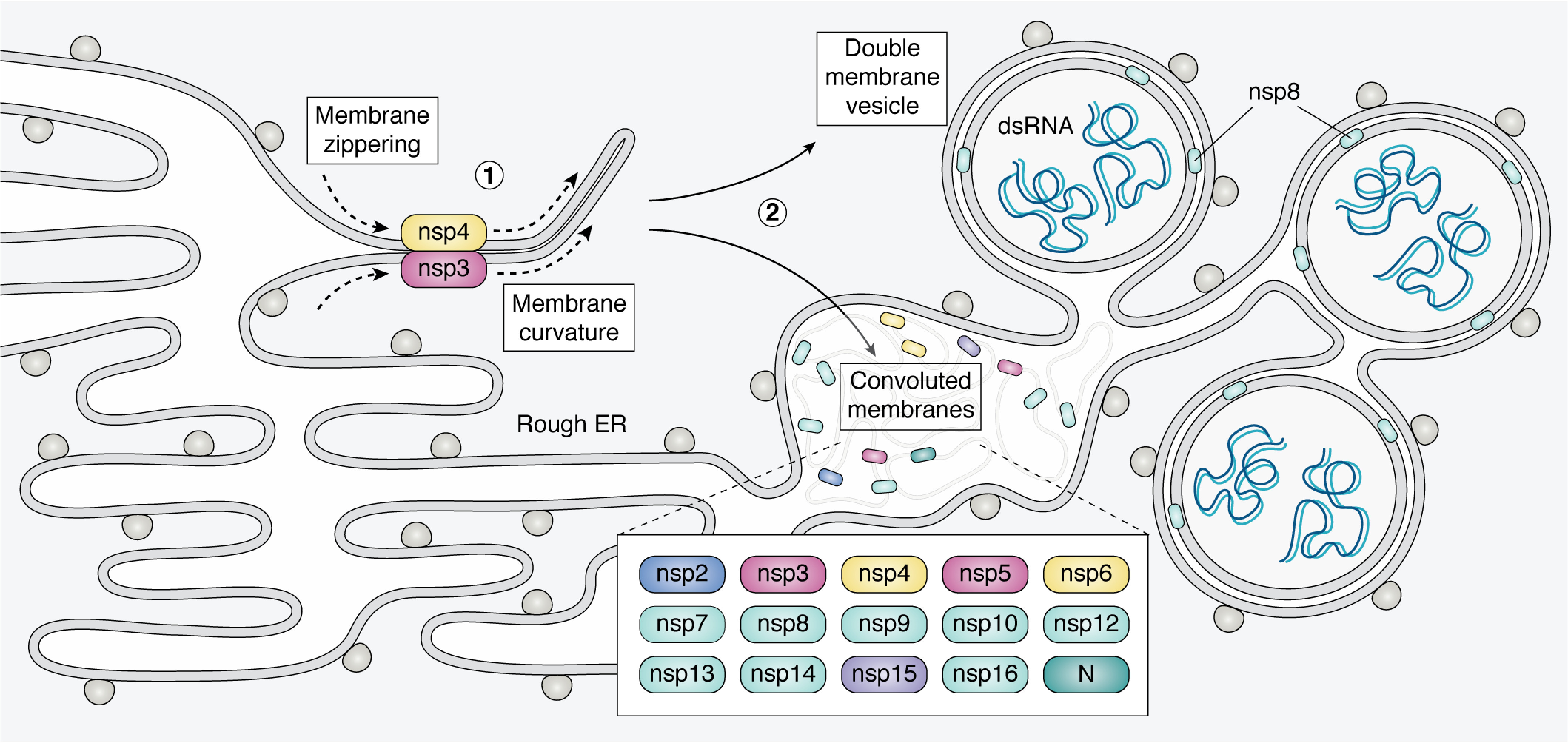 Figure 6.