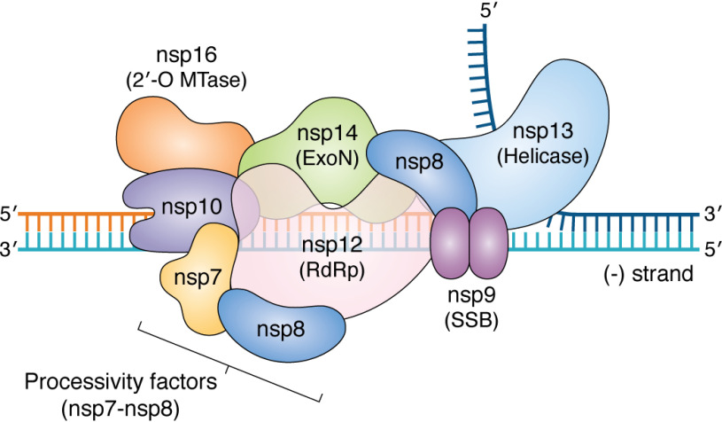 Figure 5.