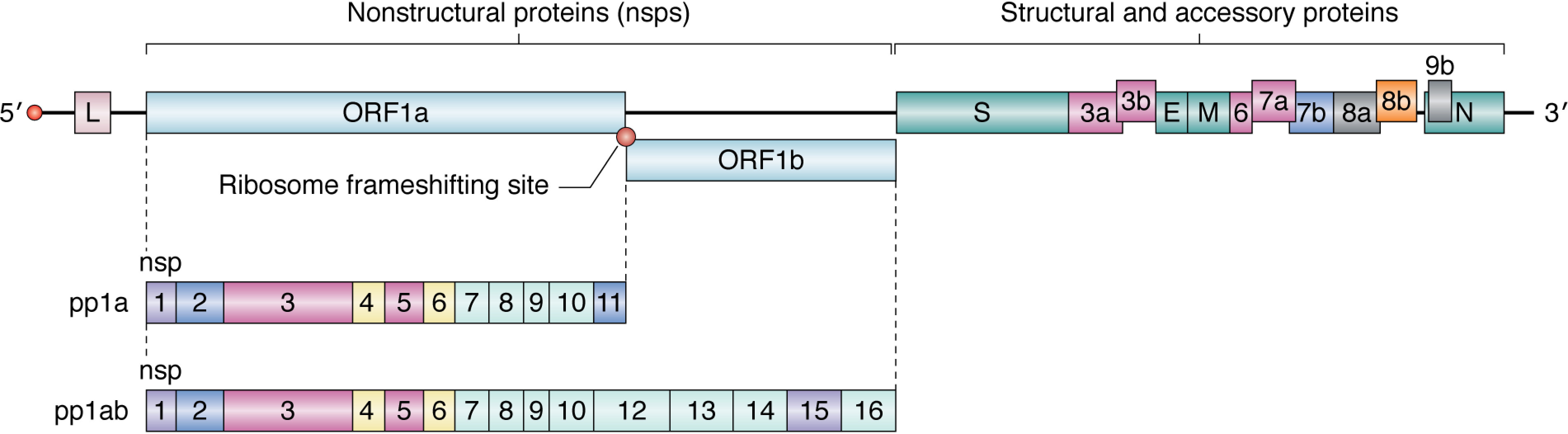 Figure 3.