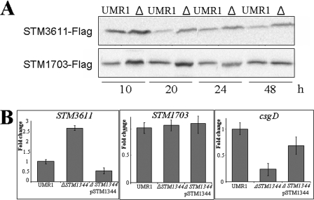 FIG. 8.