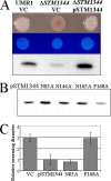 FIG. 3.
