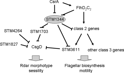 FIG. 9.