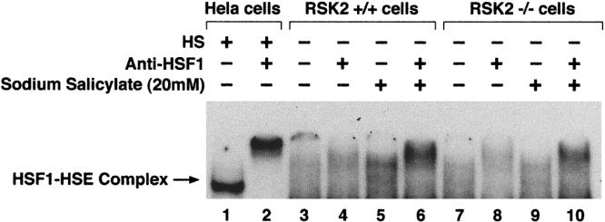 Fig 3. 