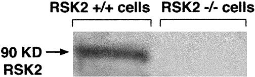 Fig 1. 