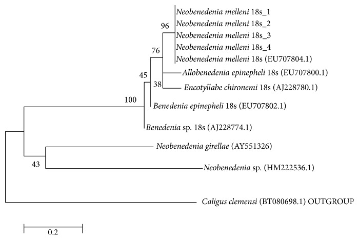 Figure 9