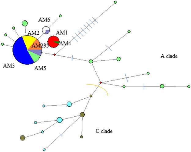 Fig 3