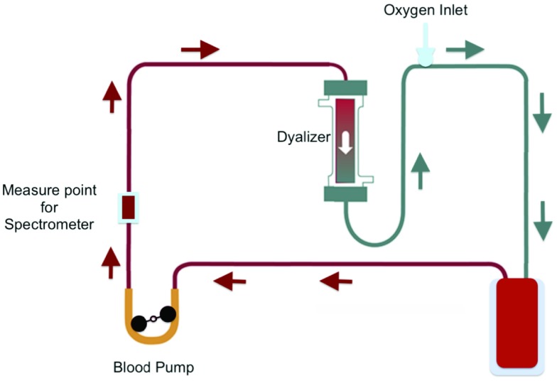 FIGURE 4.