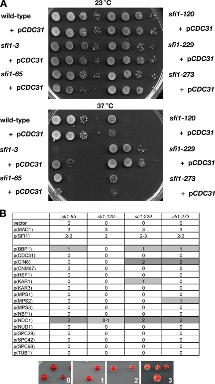 Figure 6.