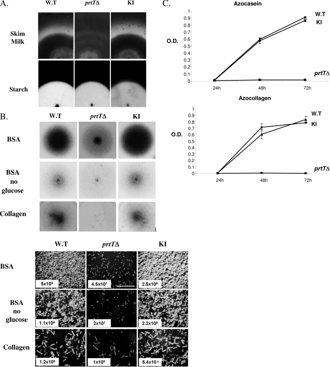 FIG. 3.