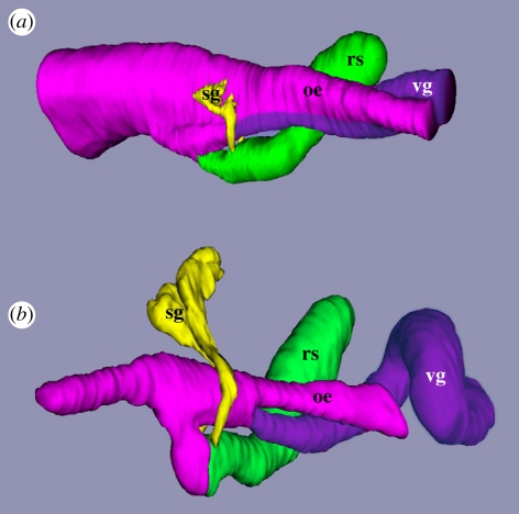 Figure 2.