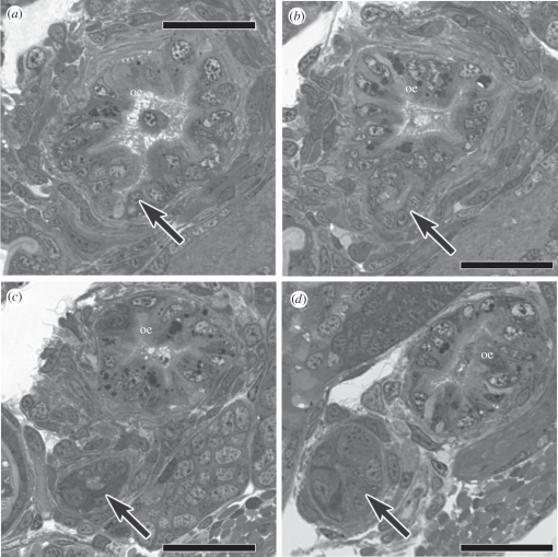 Figure 3.