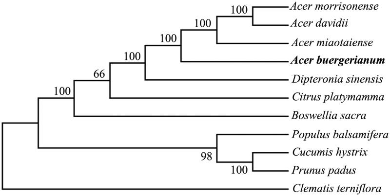 Figure 1.