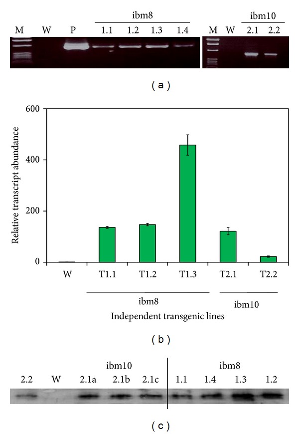 Figure 2