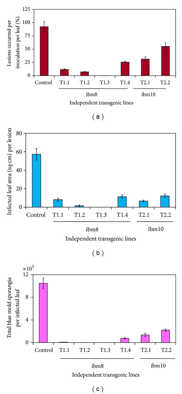 Figure 6