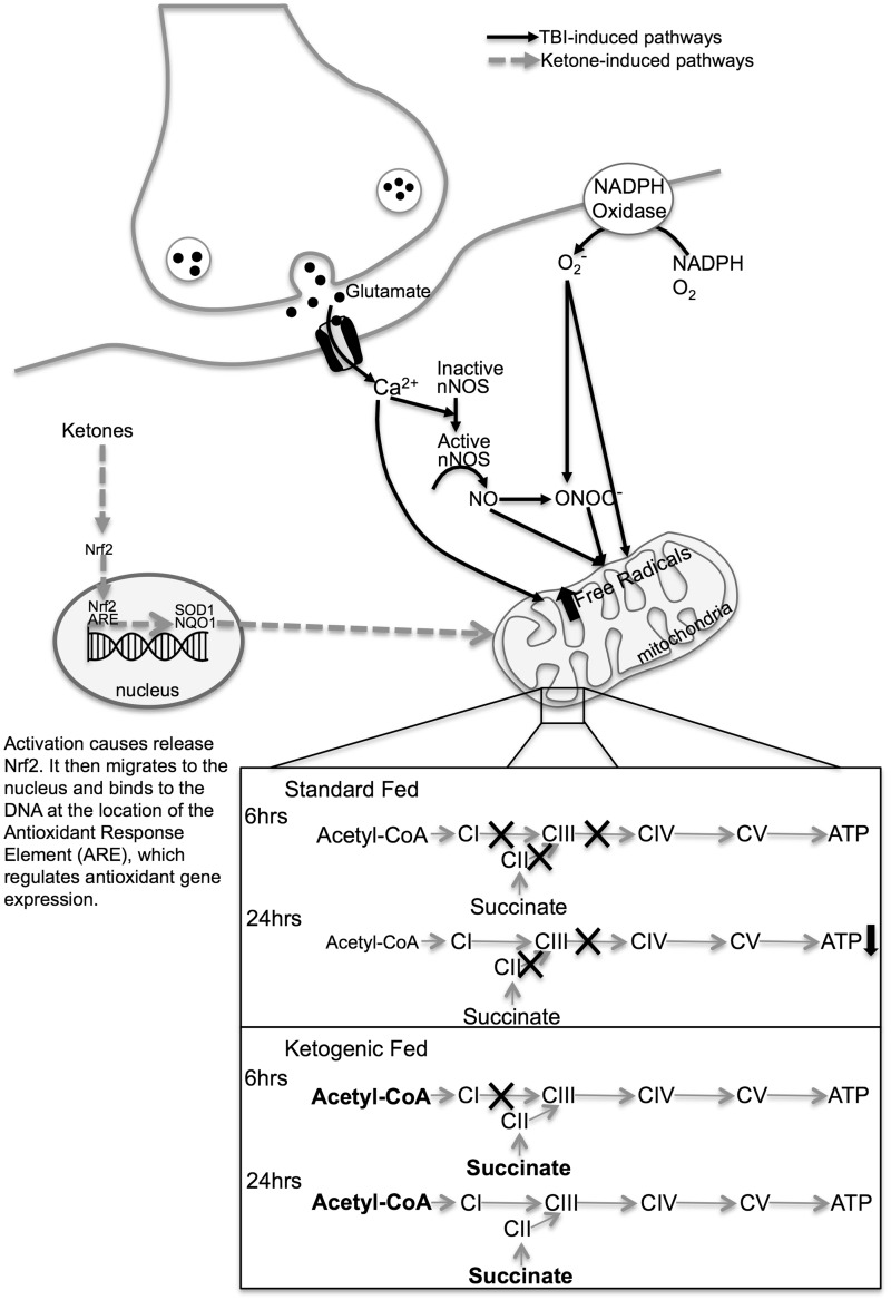 Figure 7.