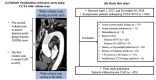 Fig.1. Schematic flow chart of the study process involving coronary angiography with 320-row multidetector computed tomography to image the aortic arch and coronary atherosclerosis