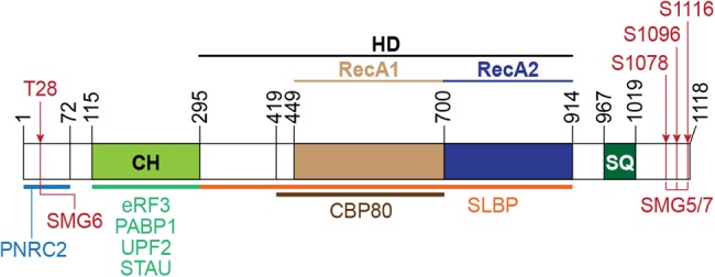 FIGURE 2.