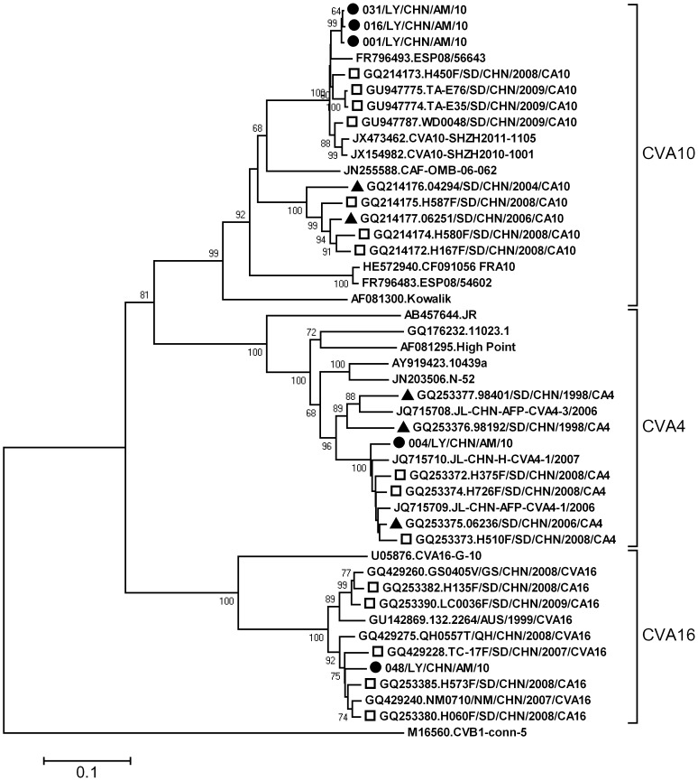 Figure 5