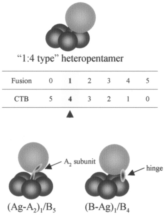 FIG. 4.