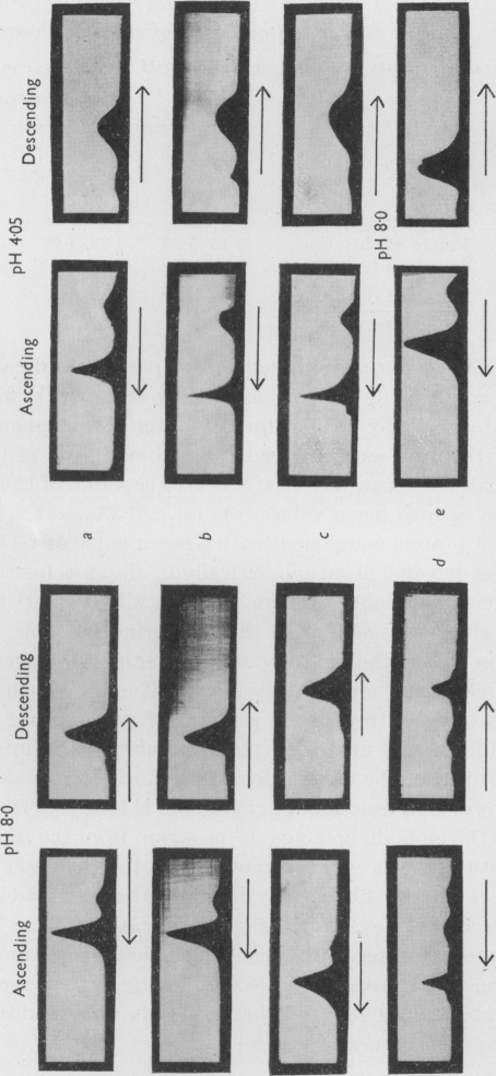 Fig. 1b