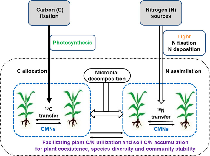 Figure 2