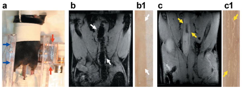 FIG. 1