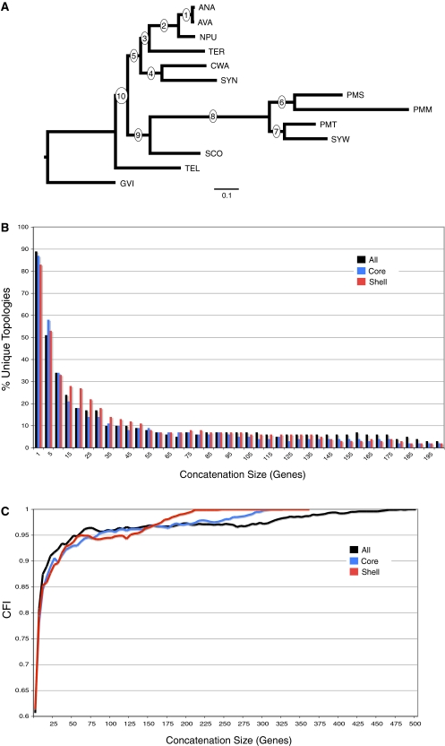 FIG. 2.—