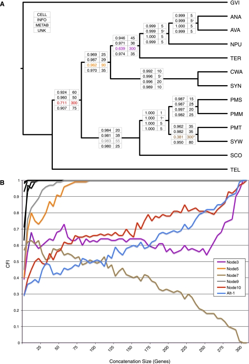 FIG. 4.—