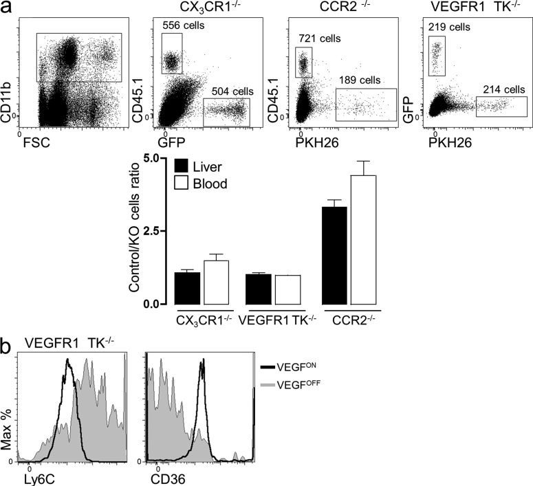 Figure 5.