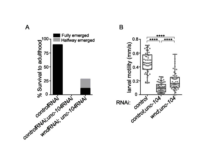 Figure 3—figure supplement 4.