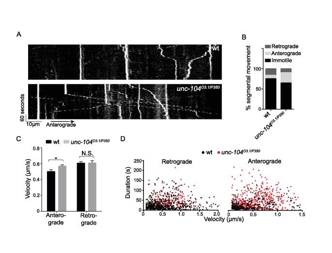 Figure 5—figure supplement 2.