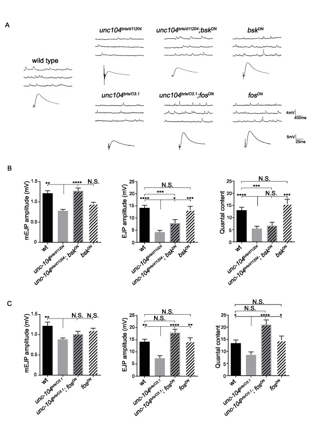 Figure 3—figure supplement 1.