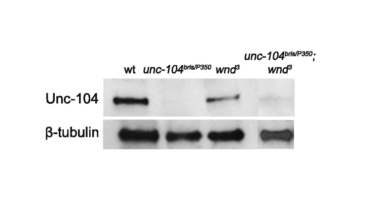 Figure 3—figure supplement 3.