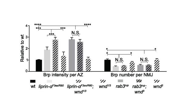 Figure 5—figure supplement 3.