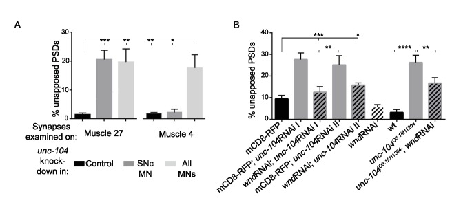 Figure 2—figure supplement 1.