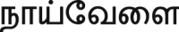 Image 21