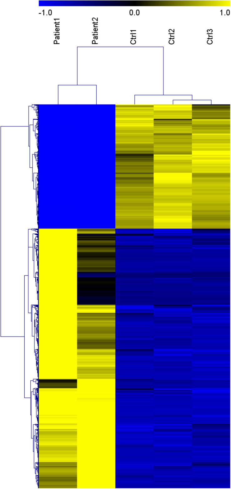 FIGURE 1