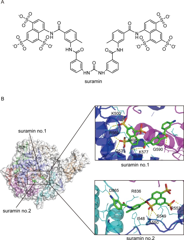 Fig. 8