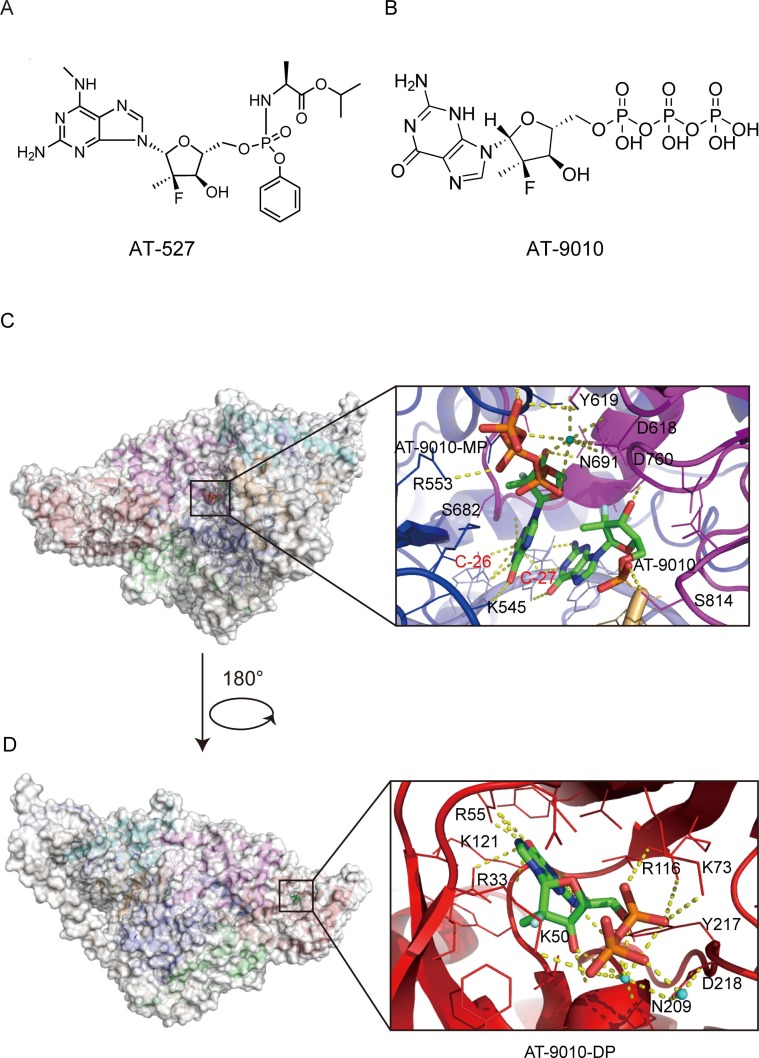 Fig. 7