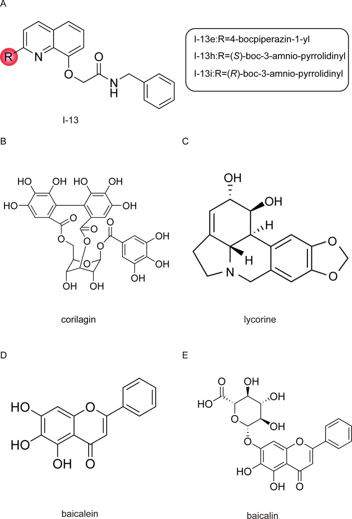 Fig. 9