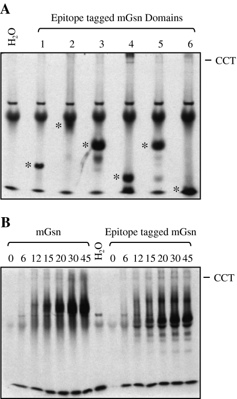 Fig. 3