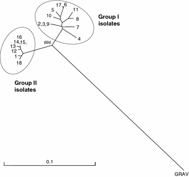 Fig. 1