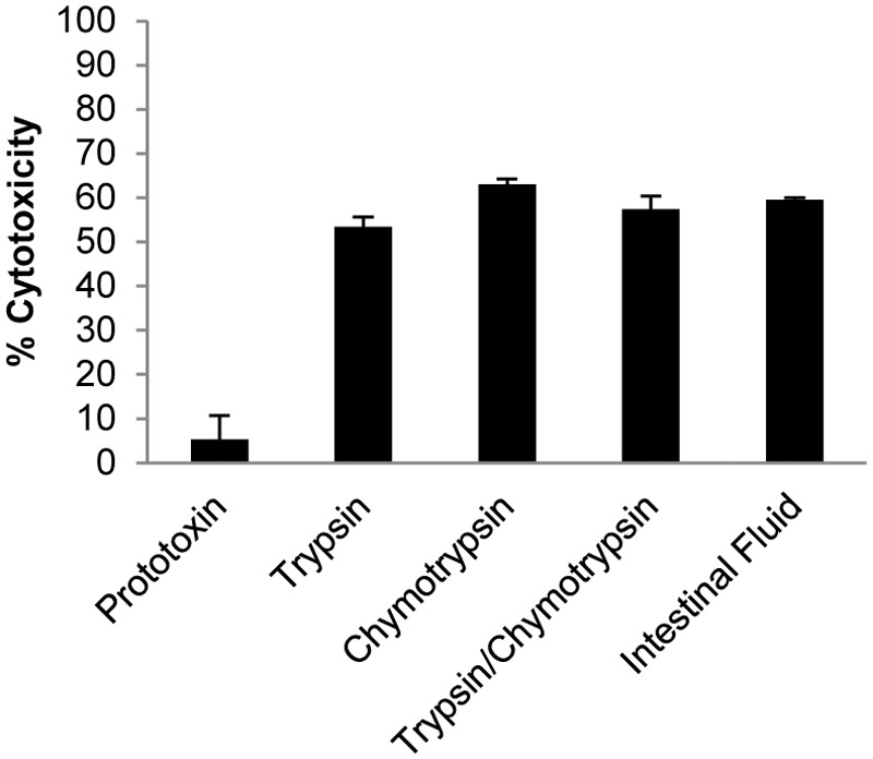 FIG 2 