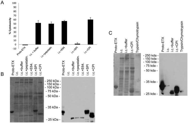 FIG 4 