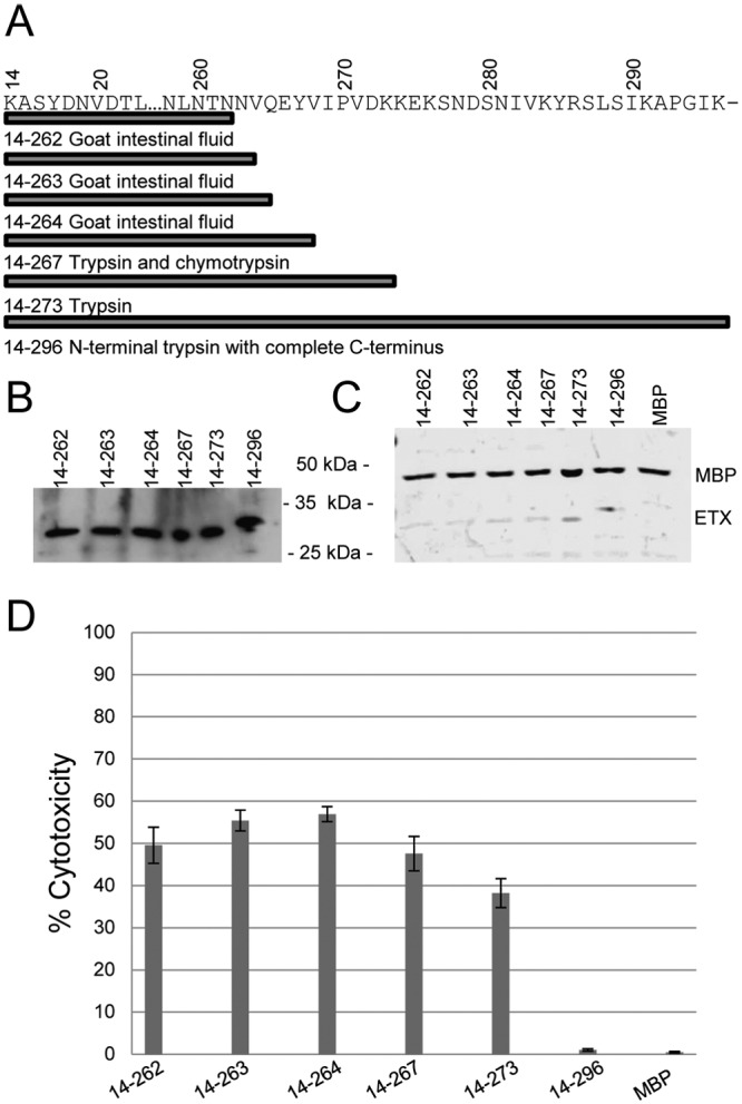 FIG 7 