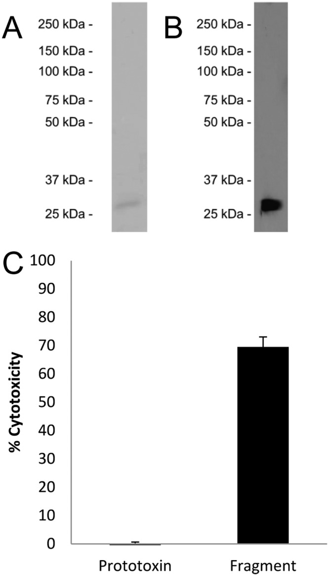 FIG 5 