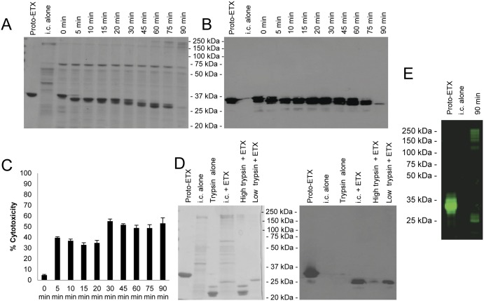 FIG 3 