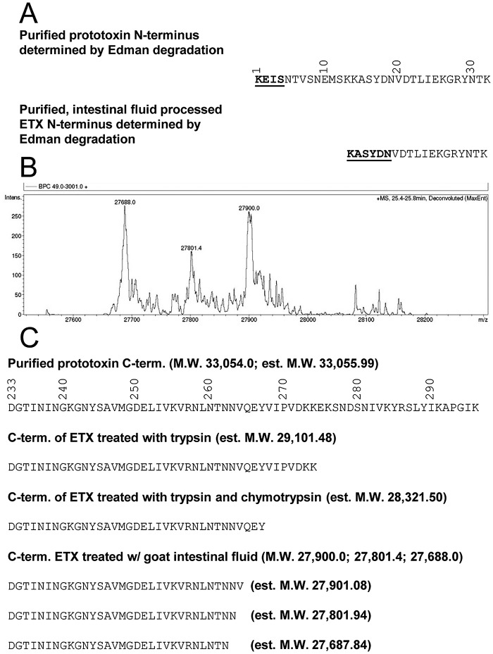 FIG 6 