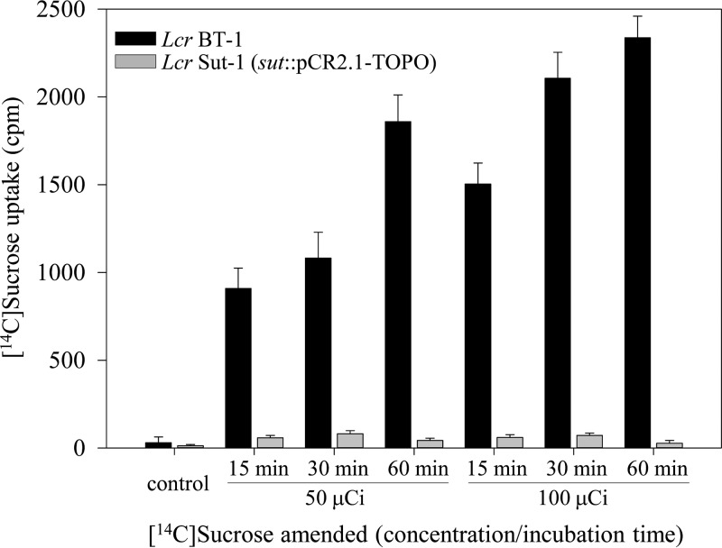 FIG 3